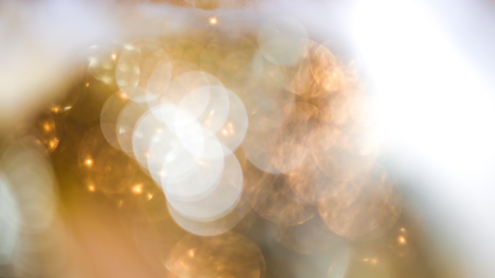 complessità tra certezze e incertezze